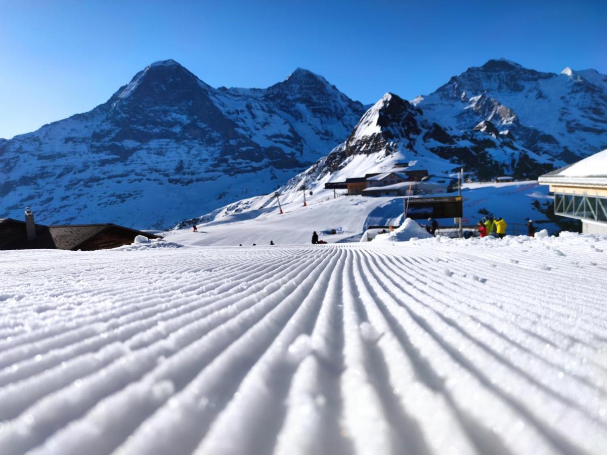Chalet Pfyffer - Mountain View Grindelwald Exterior foto