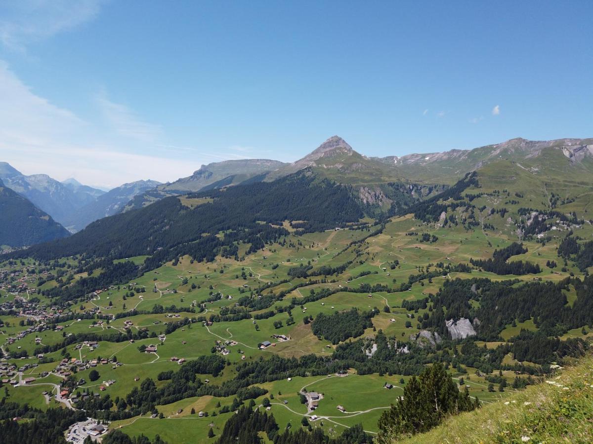 Chalet Pfyffer - Mountain View Grindelwald Exterior foto