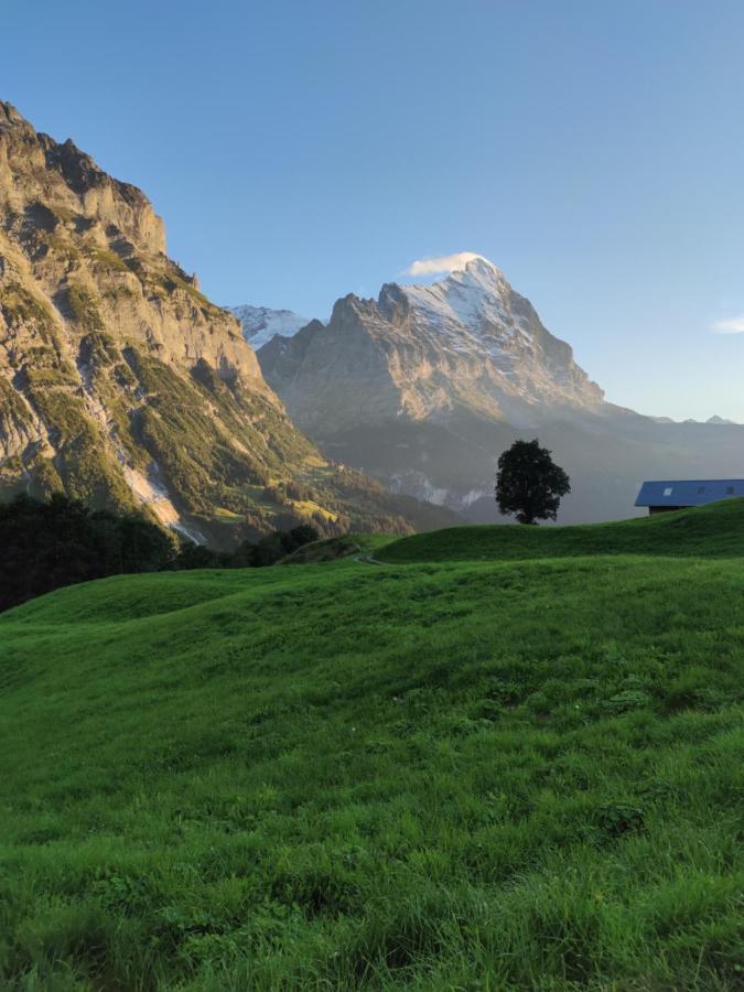 Chalet Pfyffer - Mountain View Grindelwald Exterior foto