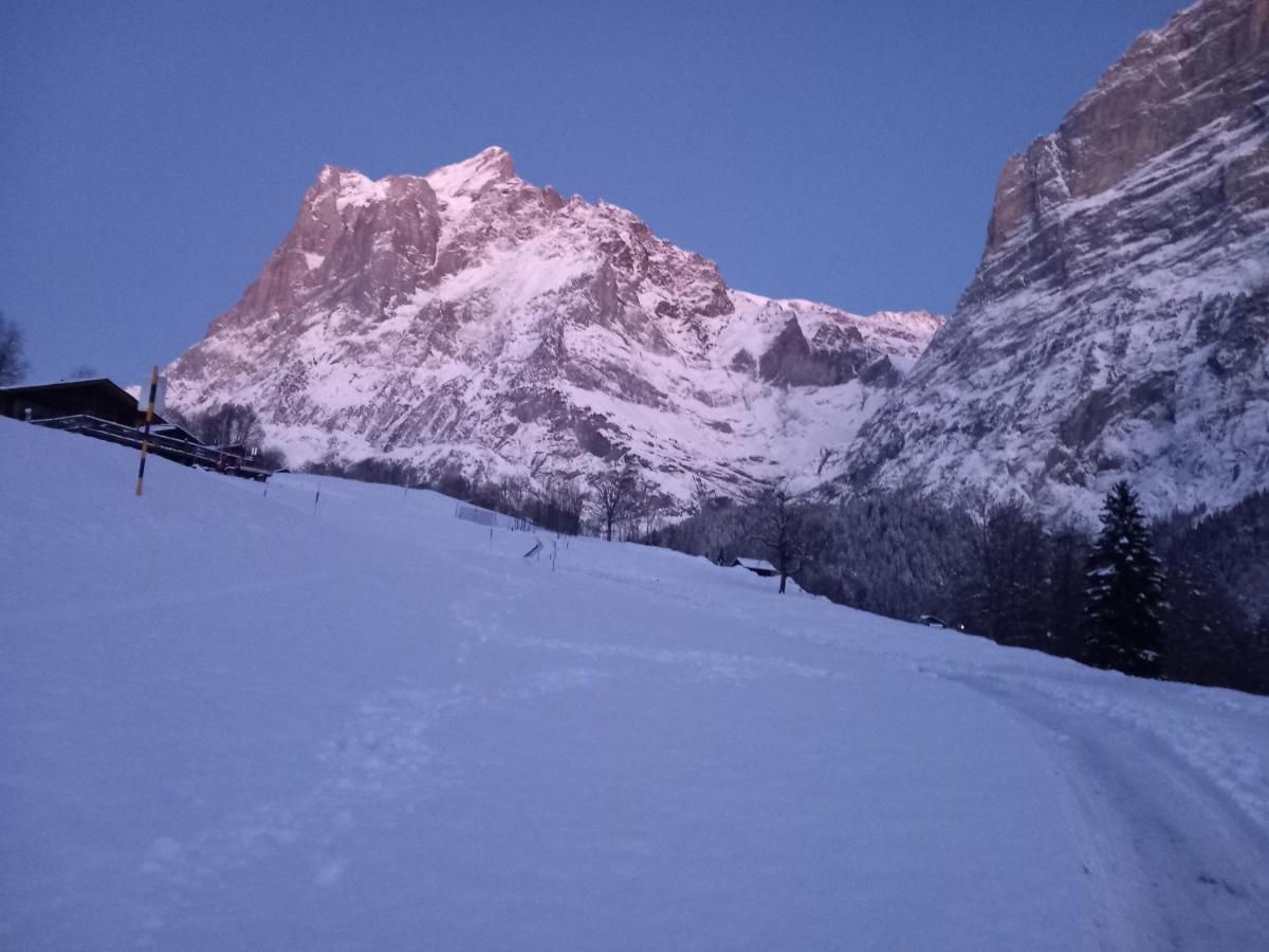 Chalet Pfyffer - Mountain View Grindelwald Exterior foto
