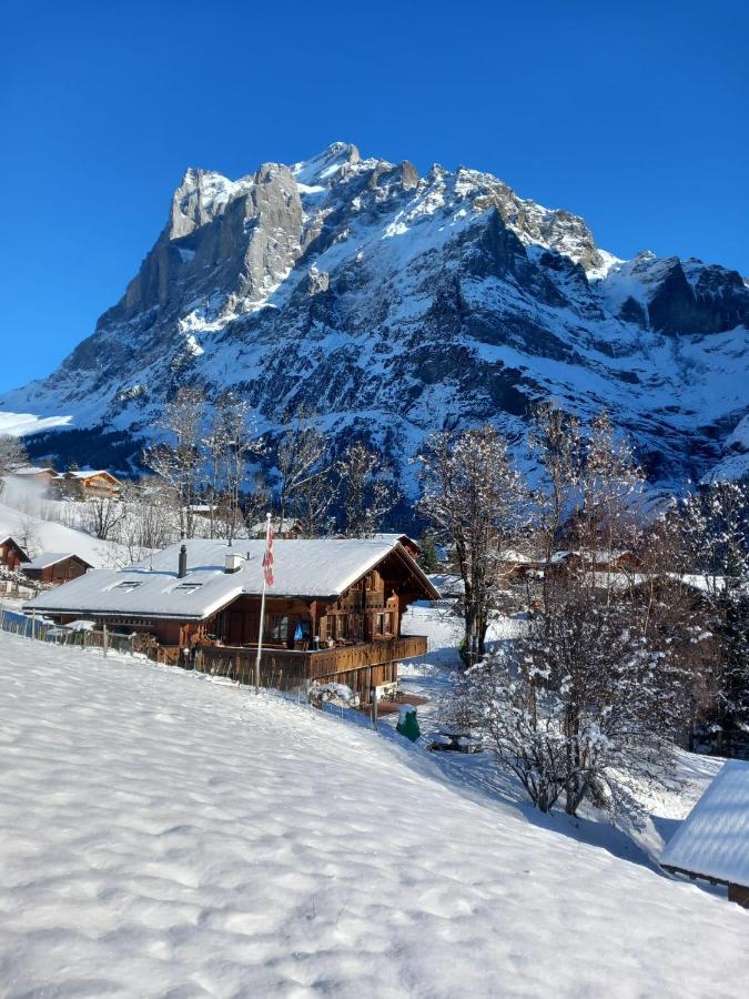 Chalet Pfyffer - Mountain View Grindelwald Exterior foto