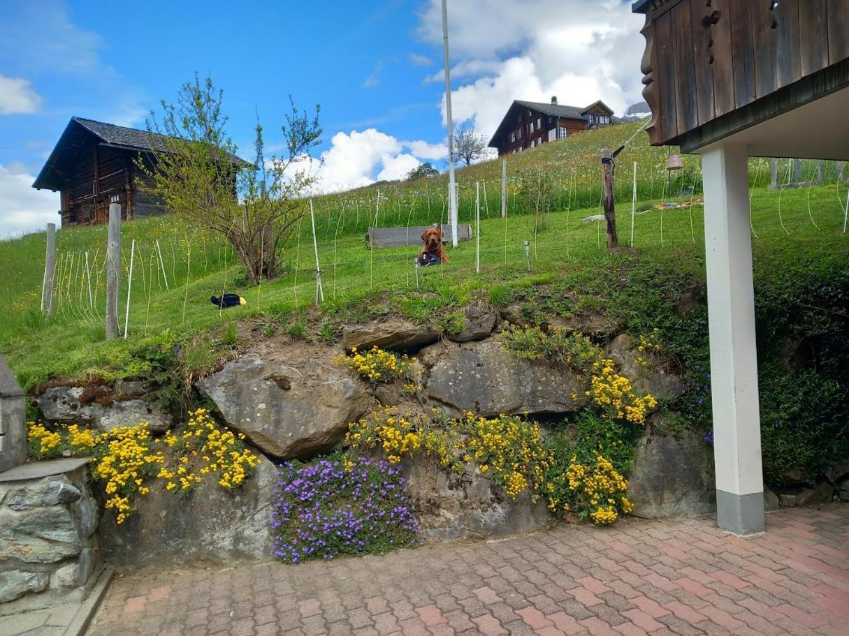 Chalet Pfyffer - Mountain View Grindelwald Exterior foto
